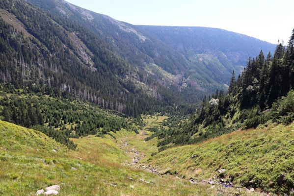 Pec pod Sněžkou, 21.8.2020
Krkonoše, Obří důl, Úpská jáma. Pohled z Úpské rokle.
Schlüsselwörter: Pec pod Sněžkou Krkonoše Obří důl Úpská jáma Úpská rokle
