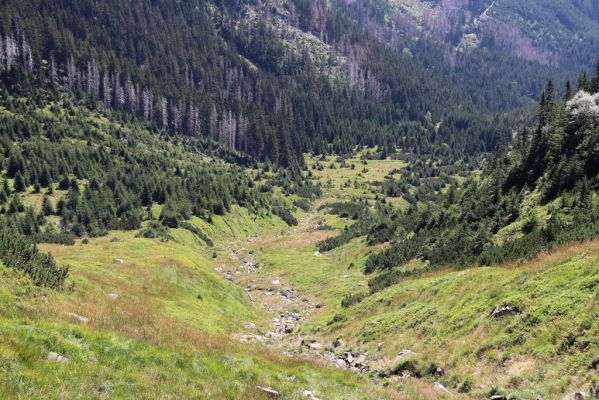 Pec pod Sněžkou, 21.8.2020
Krkonoše, Obří důl, Úpská jáma. Pohled z Úpské rokle.
Klíčová slova: Pec pod Sněžkou Krkonoše Obří důl Úpská jáma Úpská rokle