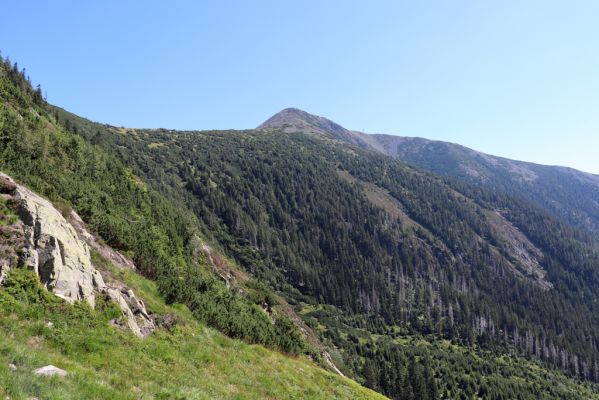 Pec pod Sněžkou, 21.8.2020
Krkonoše, Obří důl, Úpská rokle. Pohled na Sněžku.
Klíčová slova: Pec pod Sněžkou Krkonoše Obří důl Úpská rokle Sněžka