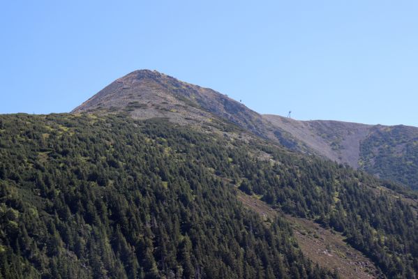 Pec pod Sněžkou, 21.8.2020
Krkonoše, Obří důl, Úpská rokle. Pohled na Sněžku. 
Klíčová slova: Pec pod Sněžkou Krkonoše Obří důl Úpská rokle Sněžka
