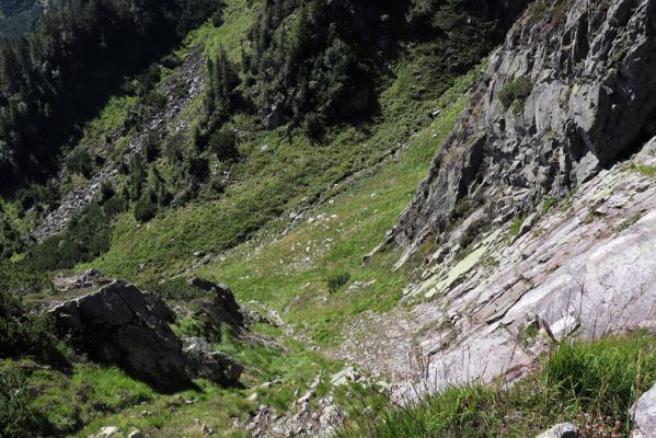 Pec pod Sněžkou, 21.8.2020
Krkonoše, Obří důl. Úpská rokle pod Úpskou hranou.
Klíčová slova: Pec pod Sněžkou Krkonoše Obří důl Úpská jáma Úpská rokle