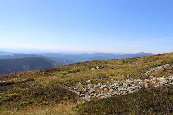 Špindlerův Mlýn, 21.8.2020
Krkonoše, jižní svah Luční hory. Pohled na Vrchlabsko.
Klíčová slova: Špindlerův Mlýn Krkonoše Luční hora Kotel