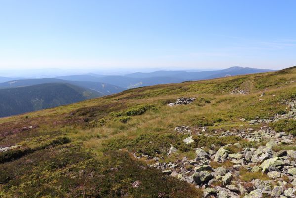 Špindlerův Mlýn, 21.8.2020
Krkonoše, jižní svah Luční hory. Pohled na Vrchlabsko.
Mots-clés: Špindlerův Mlýn Krkonoše Luční hora Kotel