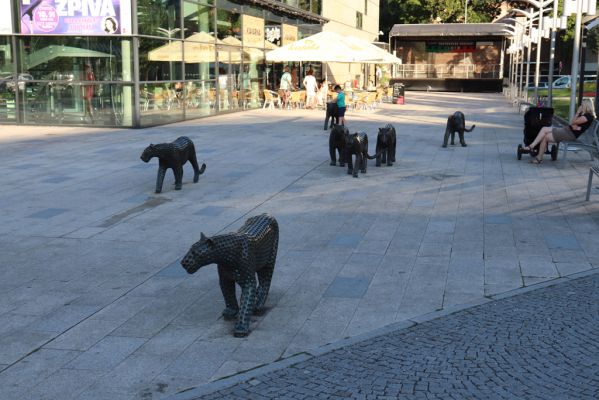 Trutnov, 21.8.2020
Život před společenským centrem UFFO.
Klíčová slova: Trutnov UFFO kočky