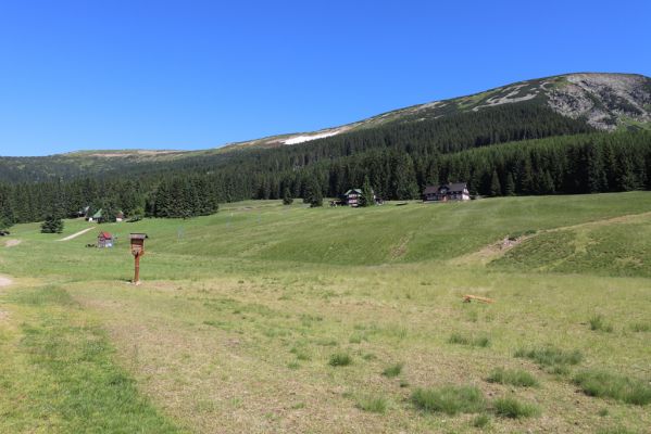 Pec pod Sněžkou, 24.6.2019
Krkonoše - Modrý důl, pastvina.
Klíčová slova: Pec pod Sněžkou Krkonoše Modrý důl pastvina