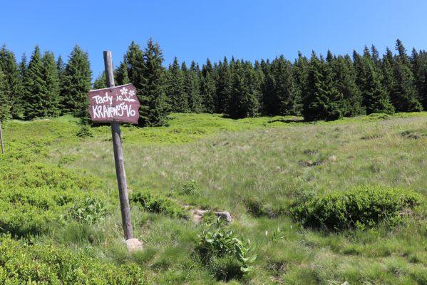 Pec pod Sněžkou, 24.6.2019
Krkonoše - Modrý důl.
Klíčová slova: Pec pod Sněžkou Krkonoše Modrý důl