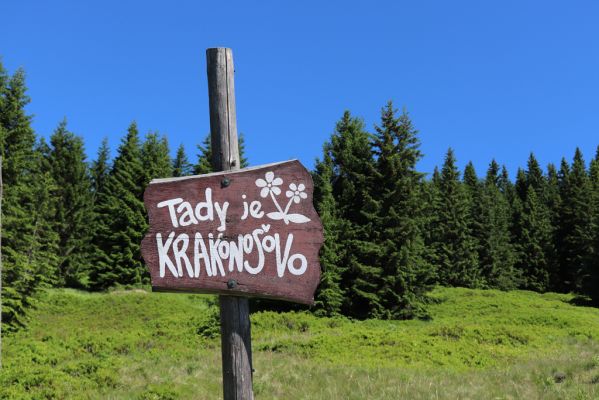 Pec pod Sněžkou, 24.6.2019
Krkonoše - Modrý důl.
Klíčová slova: Pec pod Sněžkou Krkonoše Modrý důl