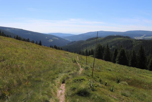 Pec pod Sněžkou, 24.6.2019
Krkonoše - Modrý důl.
Klíčová slova: Pec pod Sněžkou Krkonoše Modrý důl