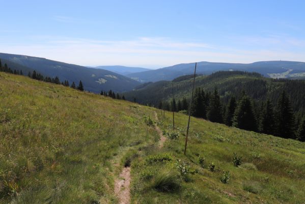 Pec pod Sněžkou, 24.6.2019
Krkonoše - Modrý důl.
Mots-clés: Pec pod Sněžkou Krkonoše Modrý důl