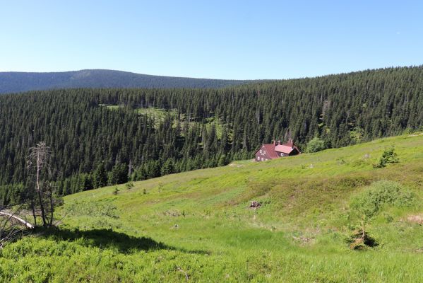 Pec pod Sněžkou, 24.6.2019
Krkonoše - Modrý důl.
Klíčová slova: Pec pod Sněžkou Krkonoše Modrý důl