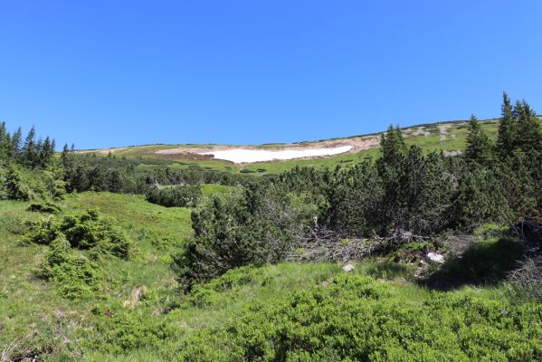 Pec pod Sněžkou, 24.6.2019
Krkonoše - Modrý důl, Mapa republiky.
Klíčová slova: Pec pod Sněžkou Krkonoše Modrý důl Mapa republiky