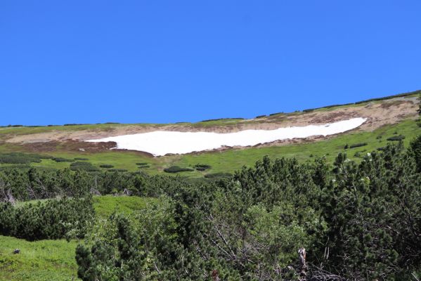 Pec pod Sněžkou, 24.6.2019
Krkonoše - Modrý důl, Mapa republiky.
Klíčová slova: Pec pod Sněžkou Krkonoše Modrý důl Mapa republiky