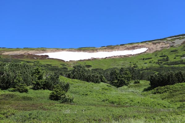 Pec pod Sněžkou, 24.6.2019
Krkonoše - Modrý důl, Mapa republiky.
Klíčová slova: Pec pod Sněžkou Krkonoše Modrý důl Mapa republiky