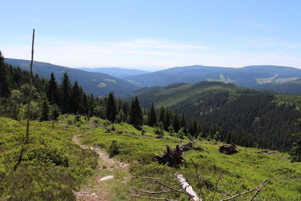 Pec pod Sněžkou, 24.6.2019
Krkonoše - Modrý důl.
Klíčová slova: Pec pod Sněžkou Krkonoše Modrý důl