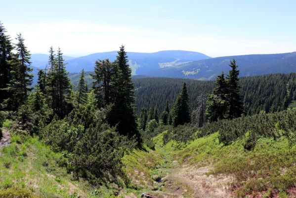 Pec pod Sněžkou, 24.6.2019
Krkonoše - Modrý důl.
Klíčová slova: Pec pod Sněžkou Krkonoše Modrý důl