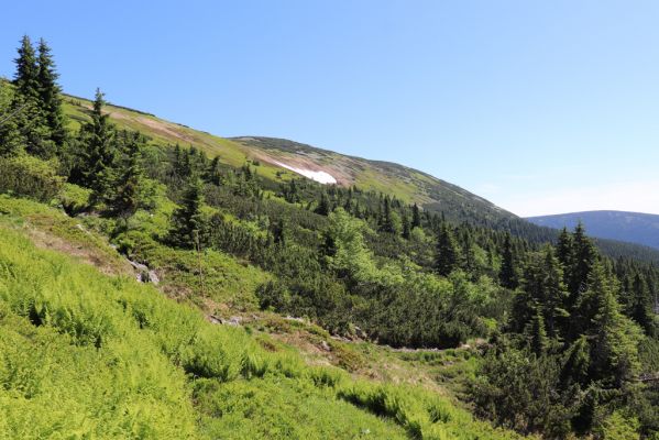 Pec pod Sněžkou, 24.6.2019
Krkonoše - Modrý důl, Mapa republiky.
Klíčová slova: Pec pod Sněžkou Krkonoše Modrý důl Mapa republiky