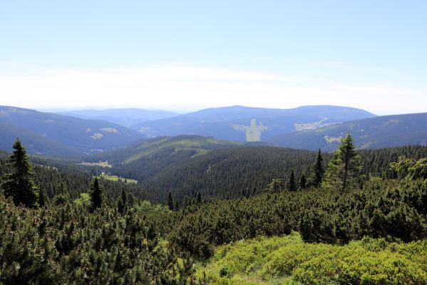 Pec pod Sněžkou, 24.6.2019
Krkonoše - Modrý důl.
Klíčová slova: Pec pod Sněžkou Krkonoše Modrý důl