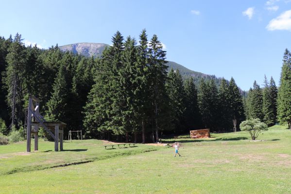 Pec pod Sněžkou, 24.6.2019
Krkonoše - Obří důl, pastvina u Boudy v Obřím dole.
Klíčová slova: Pec pod Sněžkou Krkonoše Obří důl Bouda v Obřím dole