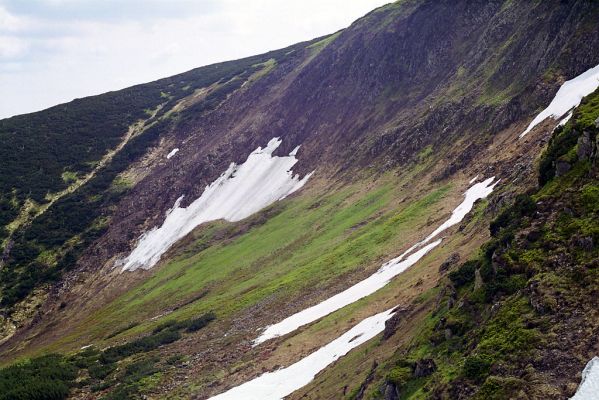 Krkonoše, Obří důl, 4.6.2002
Krakonošova zahrádka a Čertův ručej.


Klíčová slova: Pec pod Sněžkou Krkonoše Obří důl Krakonošova zahrádka Ctenicera cuprea