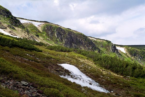 Krkonoše, Obří důl, 4.6.2002
Krakonošova zahrádka.



Klíčová slova: Pec pod Sněžkou Krkonoše Obří důl Krakonošova zahrádka Ctenicera cuprea