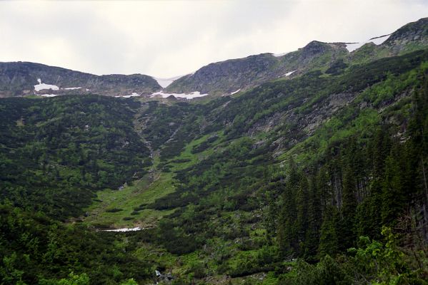 Krkonoše, Obří důl, 4.6.2002
Pohled z Úpské jámy na Krakonošovu zahrádku.



Klíčová slova: Pec pod Sněžkou Krkonoše Obří důl Úpská jáma Krakonošova zahrádka Ctenicera cuprea Athous subfuscus Liotrichus affinis