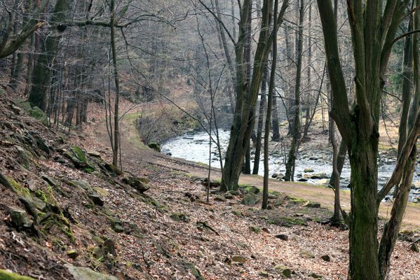 Strádovské Peklo, 1.4.2008
Řeka Chrudimka
Mots-clés: Nasavrky Strádovské Peklo Chrudimka lesA