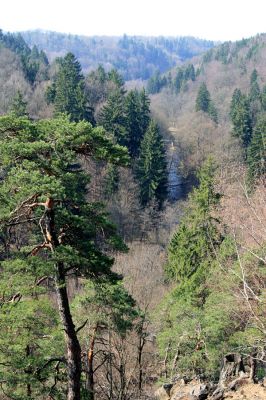 Strádovské Peklo, 1.4.2008
Kaňon Chrudimky. Pohled na jih k Peklu.
Schlüsselwörter: Nasavrky Strádovské Peklo lesA Chrudimka kaňon