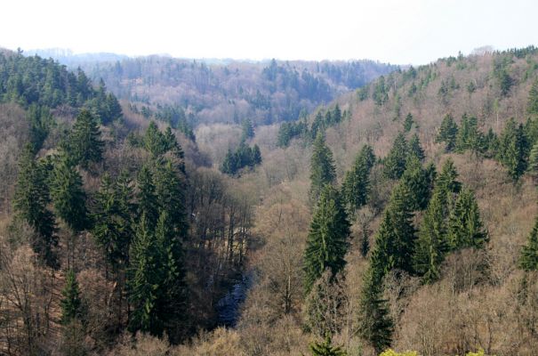 Strádovské Peklo, 1.4.2008
Kaňon Chrudimky. Pohled na jih k Peklu.
Mots-clés: Nasavrky Strádovské Peklo lesA Chrudimka kaňon