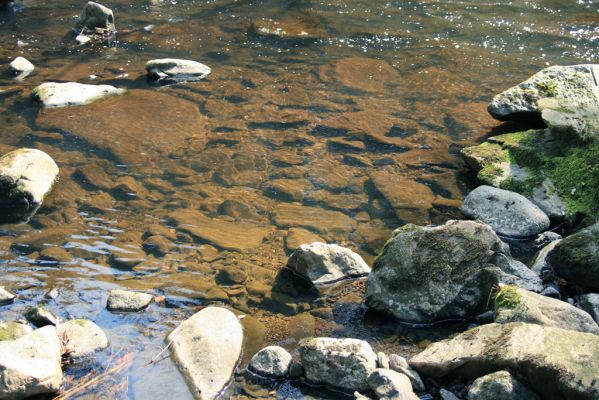 Strádovské Peklo, 1.4.2008
Řeka Chrudimka
Klíčová slova: Nasavrky Strádovské Peklo lesA Chrudimka