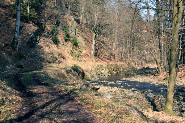 Strádovské Peklo, 1.4.2008
Suťový les nad levým břehem Chrudimky
Klíčová slova: Nasavrky Strádovské Peklo suťový lesB Chrudimka