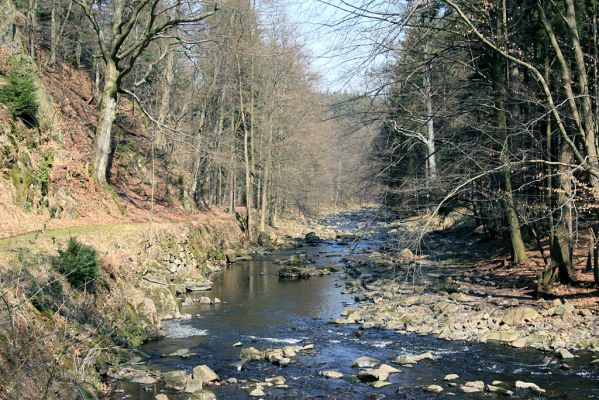 Strádovské Peklo, 1.4.2008
Řeka Chrudimka
Schlüsselwörter: Nasavrky Strádovské Peklo lesB Chrudimka