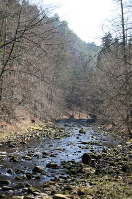 Strádovské Peklo, 1.4.2008
Řeka Chrudimka
Schlüsselwörter: Nasavrky Strádovské Peklo lesB Chrudimka