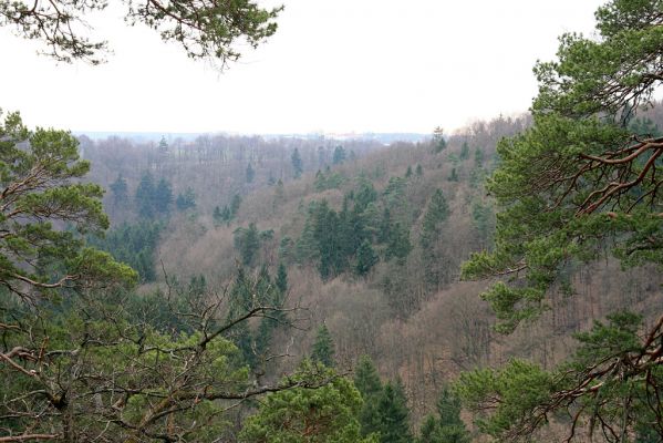 Strádovské Peklo, 1.4.2008
Kaňon Chrudimky. Suťové lesy u Pekla.
Schlüsselwörter: Nasavrky Strádovské Peklo suťový lesA