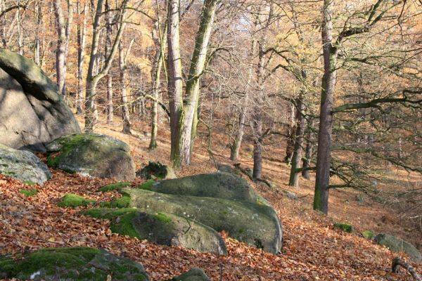 Petrohrad, 18.11.2009
PP Háj Petra Bezruče.
Mots-clés: Petrohrad PP Háj Petra Bezruče