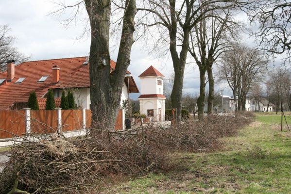 Týniště nad Orlicí, Petrovičky, 13.4.2013
Lípy s výletovými otvory krasců lipových.



Klíčová slova: Týniště nad Orlicí Petrovičky krasec lipový Lamprodila rutilans