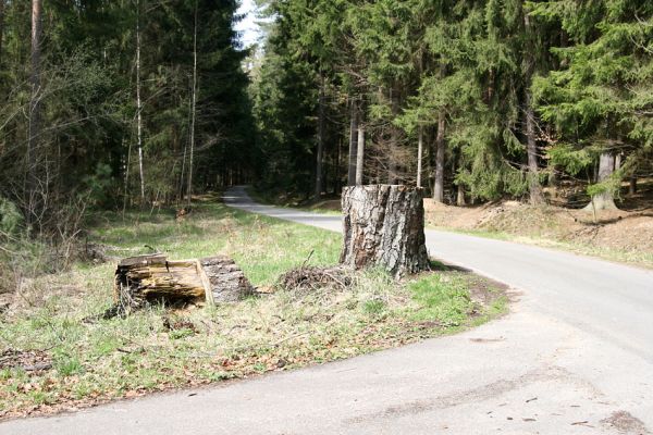 Petrovice nad Orlicí, 16.4.2010
Dva majestátné kmeny buků na křižovatce u odbočky k Petrovické hájovně jsou minulostí. Vymažte si je z mapy.
Mots-clés: Petrovice nad Orlicí