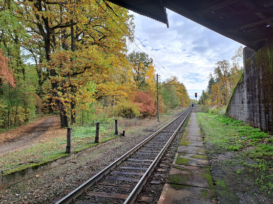 Týniště nad Orlicí, 1.11.2023
Železniční zastávka Petrovice nad Orlicí.
Keywords: Týniště nad Orlicí Petrovice