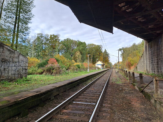 Týniště nad Orlicí, 1.11.2023
Železniční zastávka Petrovice nad Orlicí.
Keywords: Týniště nad Orlicí Petrovice