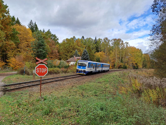 Týniště nad Orlicí, 1.11.2023
Lokálka Českých drah na trati Týniště nad Orlicí - Václavice.
Schlüsselwörter: Týniště nad Orlicí obora U Houkvice