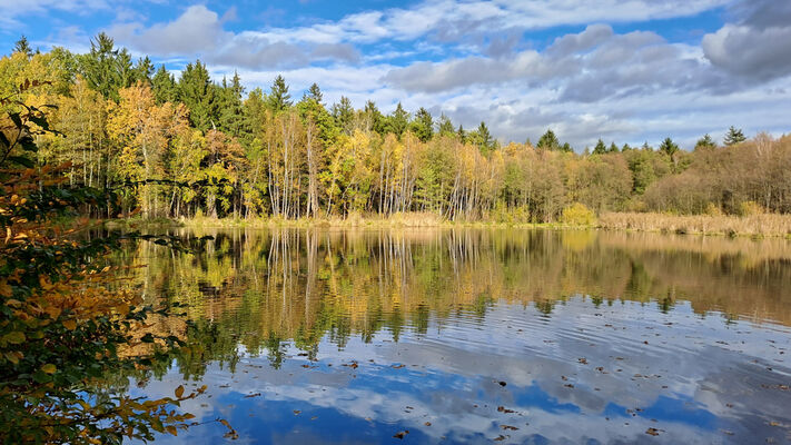 Týniště nad Orlicí, 1.11.2023
Rybník Rozkoš.
Schlüsselwörter: Týniště nad Orlicí obora rybník Rozkoš