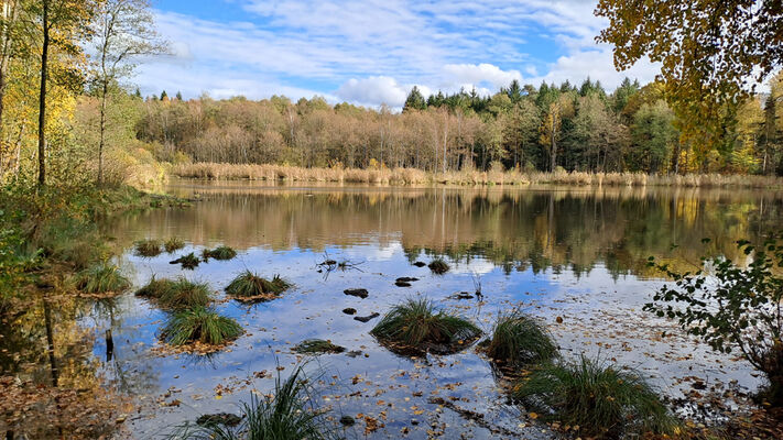 Týniště nad Orlicí, 1.11.2023
Rybník Rozkoš.
Mots-clés: Týniště nad Orlicí obora rybník Rozkoš