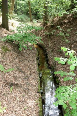 Petrovice-Třebechovice pod Orebem, 21.5.2009
Hatěný odvodňovací kanál.
Schlüsselwörter: Týniště nad Orlicí V Končinách Petrovice