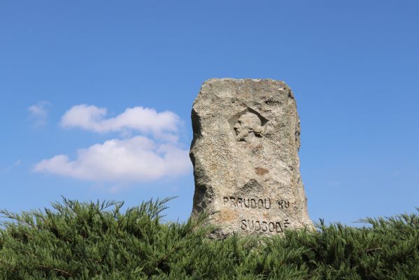 Petrovičky, 14.9.2021
Ovocný sad - památník.
Klíčová slova: Petrovičky památník