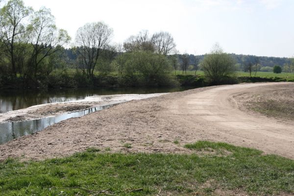 Týniště nad Orlicí, Petrovičky, 21.4.2011
Zregulované koryto Orlice u soutoku se Stříbrným potokem. Zde bývaly slavné písečné náplavy osídlené kovaříky Zorochros quadriguttatus a Negastrius sabulicola. Takhle se v ČR chrání příroda...
Schlüsselwörter: Týniště nad Orlicí Petrovičky Orlice