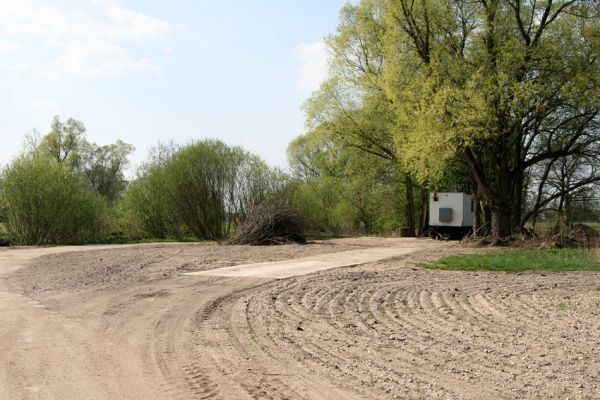 Týniště nad Orlicí, Petrovičky, 21.4.2011
Zregulované koryto Orlice u soutoku se Stříbrným potokem. Zde bývaly slavné písečné náplavy osídlené kovaříky Zorochros quadriguttatus a Negastrius sabulicola. Takhle se v ČR chrání příroda...
Keywords: Týniště nad Orlicí Petrovičky Orlice