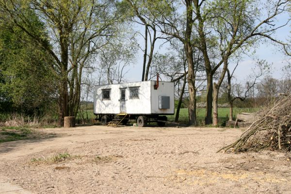 Týniště nad Orlicí, Petrovičky, 21.4.2011
Zregulované koryto Orlice u soutoku se Stříbrným potokem. Zde bývaly slavné písečné náplavy osídlené kovaříky Zorochros quadriguttatus a Negastrius sabulicola. Takhle se v ČR chrání příroda...
Keywords: Týniště nad Orlicí Petrovičky Orlice