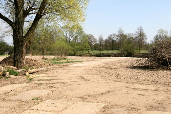 Týniště nad Orlicí, Petrovičky, 21.4.2011
Výhled z maringotky na zregulované koryto Orlice u soutoku se Stříbrným potokem. Zde bývaly slavné písečné náplavy osídlené kovaříky Zorochros quadriguttatus a Negastrius sabulicola. Teorie a praxe na vlastní oči...
Schlüsselwörter: Týniště nad Orlicí Petrovičky Orlice