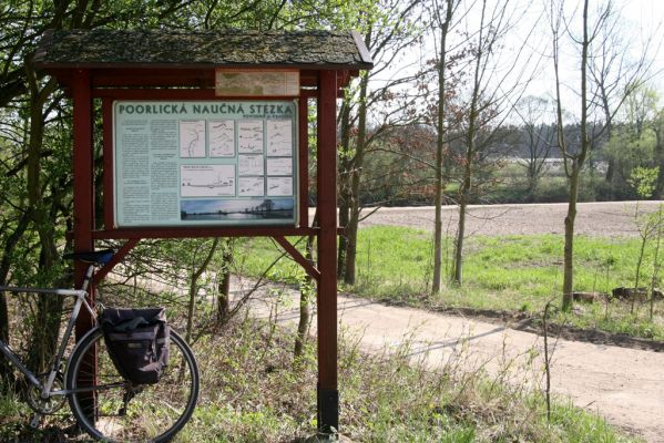 Týniště nad Orlicí, Petrovičky, 21.4.2011
Informační tabule u zregulovaného koryta Orlice u soutoku se Stříbrným potokem (Loc: 50°9'42.343"N, 16°2'23.766"E). V pozadí bývaly slavné písečné náplavy osídlené kovaříky Zorochros quadriguttatus a Negastrius sabulicola. Teorie a praxe ochrany přírody v ČR... 
Klíčová slova: Týniště nad Orlicí Petrovičky Orlice