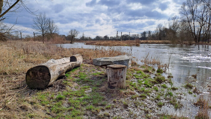 Týniště nad Orlicí, 26.2.2024 
Meandry Orlice - Jordán.
Klíčová slova: Týniště nad Orlicí meandry Orlice Jordán