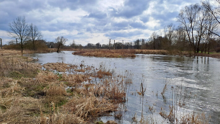 Týniště nad Orlicí, 26.2.2024 
Meandry Orlice - Jordán.
Klíčová slova: Týniště nad Orlicí meandry Orlice Jordán